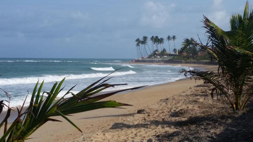 Flat Muro Alto Beach Class Ecolife Porto de Galinhas Exterior photo